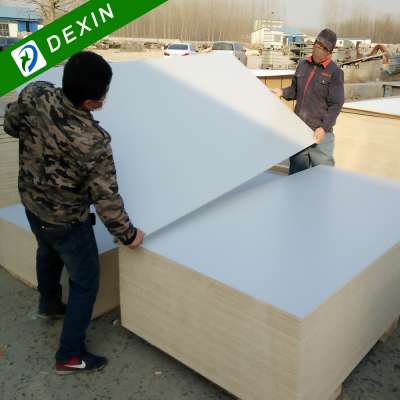 HPL Laminated Polyester Plywood