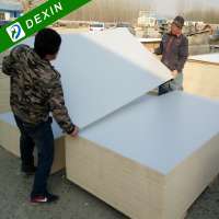 HPL Laminated Polyester Plywood