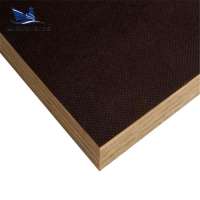 Hot sale anti slip plywood for high building