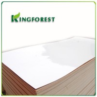 poly coated plywood with high quality