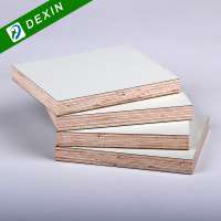 HPL Laminated Fireproof Plywood